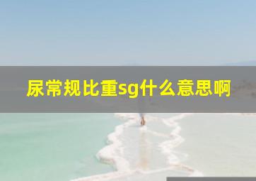 尿常规比重sg什么意思啊