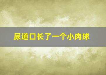 尿道口长了一个小肉球