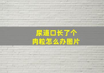 尿道口长了个肉粒怎么办图片