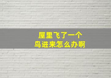 屋里飞了一个鸟进来怎么办啊