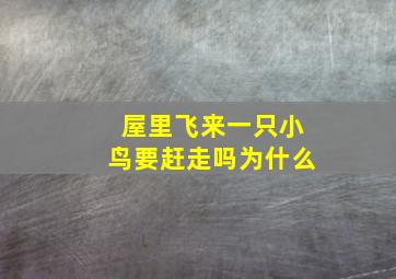 屋里飞来一只小鸟要赶走吗为什么