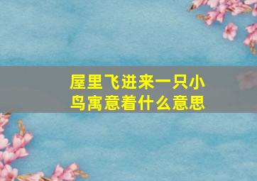 屋里飞进来一只小鸟寓意着什么意思