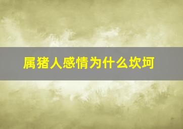 属猪人感情为什么坎坷