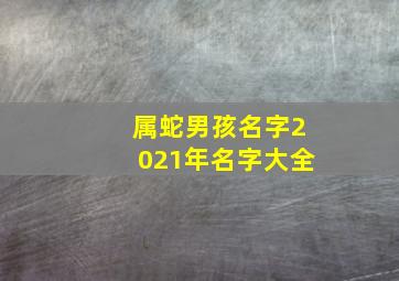 属蛇男孩名字2021年名字大全