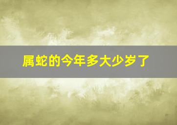 属蛇的今年多大少岁了