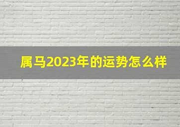 属马2023年的运势怎么样