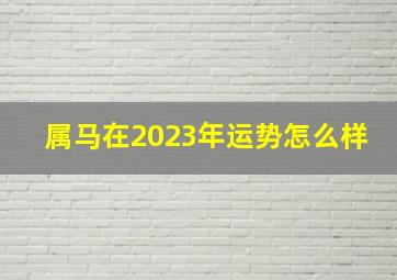 属马在2023年运势怎么样