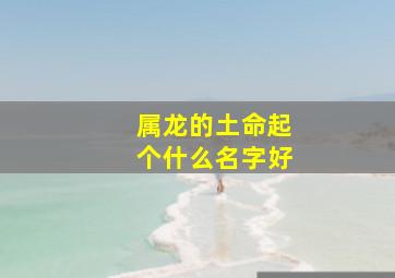 属龙的土命起个什么名字好