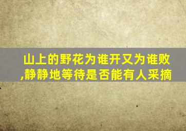 山上的野花为谁开又为谁败,静静地等待是否能有人采摘