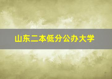 山东二本低分公办大学