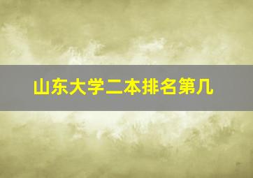 山东大学二本排名第几