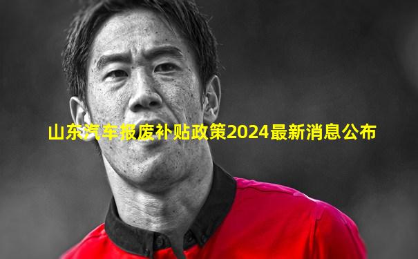 山东汽车报废补贴政策2024最新消息公布