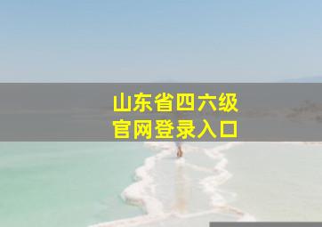 山东省四六级官网登录入口