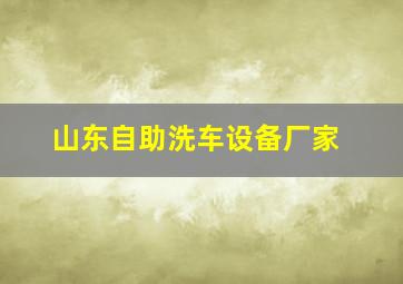 山东自助洗车设备厂家