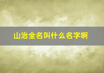 山治全名叫什么名字啊