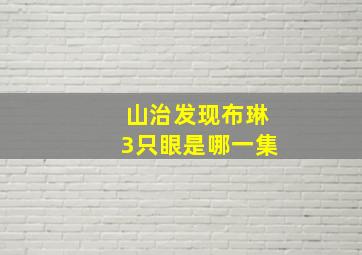 山治发现布琳3只眼是哪一集