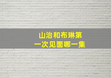 山治和布琳第一次见面哪一集