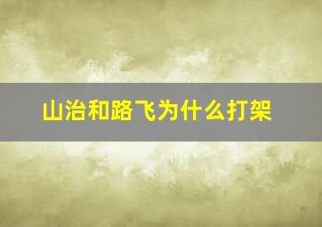 山治和路飞为什么打架