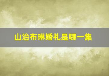 山治布琳婚礼是哪一集