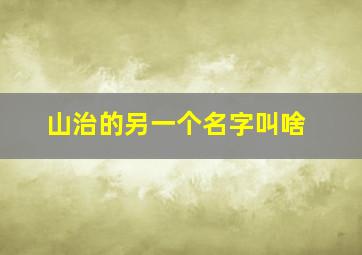 山治的另一个名字叫啥