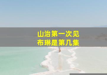 山治第一次见布琳是第几集