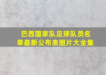 巴西国家队足球队员名单最新公布表图片大全集