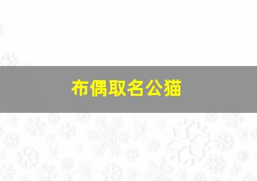 布偶取名公猫