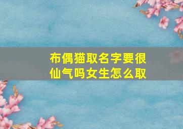 布偶猫取名字要很仙气吗女生怎么取