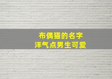 布偶猫的名字洋气点男生可爱