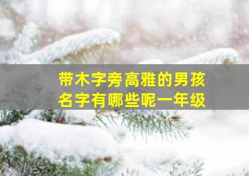 带木字旁高雅的男孩名字有哪些呢一年级