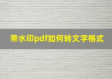 带水印pdf如何转文字格式