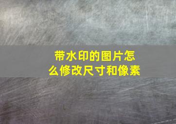 带水印的图片怎么修改尺寸和像素