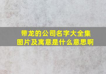 带龙的公司名字大全集图片及寓意是什么意思啊