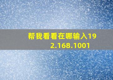 帮我看看在哪输入192.168.1001