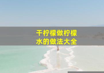 干柠檬做柠檬水的做法大全