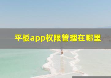 平板app权限管理在哪里