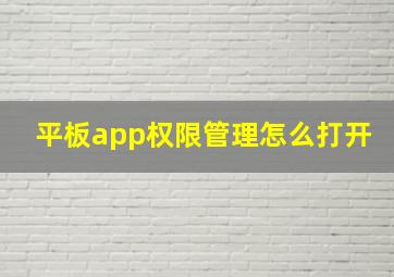 平板app权限管理怎么打开