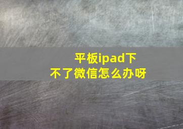 平板ipad下不了微信怎么办呀