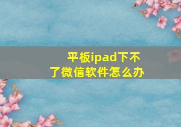 平板ipad下不了微信软件怎么办