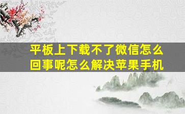 平板上下载不了微信怎么回事呢怎么解决苹果手机