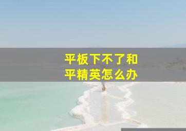 平板下不了和平精英怎么办