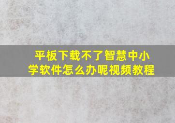 平板下载不了智慧中小学软件怎么办呢视频教程