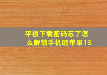 平板下载密码忘了怎么解锁手机呢苹果13