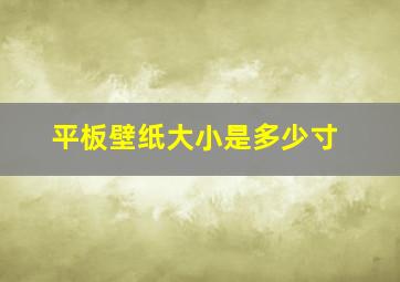 平板壁纸大小是多少寸