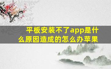 平板安装不了app是什么原因造成的怎么办苹果