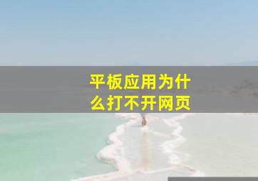 平板应用为什么打不开网页