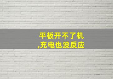 平板开不了机,充电也没反应