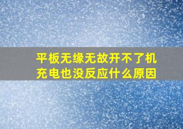 平板无缘无故开不了机充电也没反应什么原因