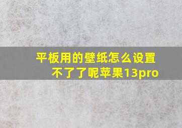 平板用的壁纸怎么设置不了了呢苹果13pro