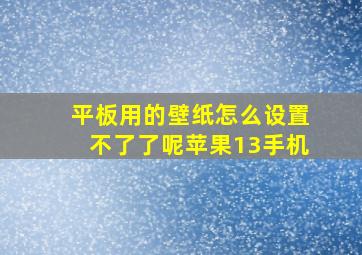 平板用的壁纸怎么设置不了了呢苹果13手机